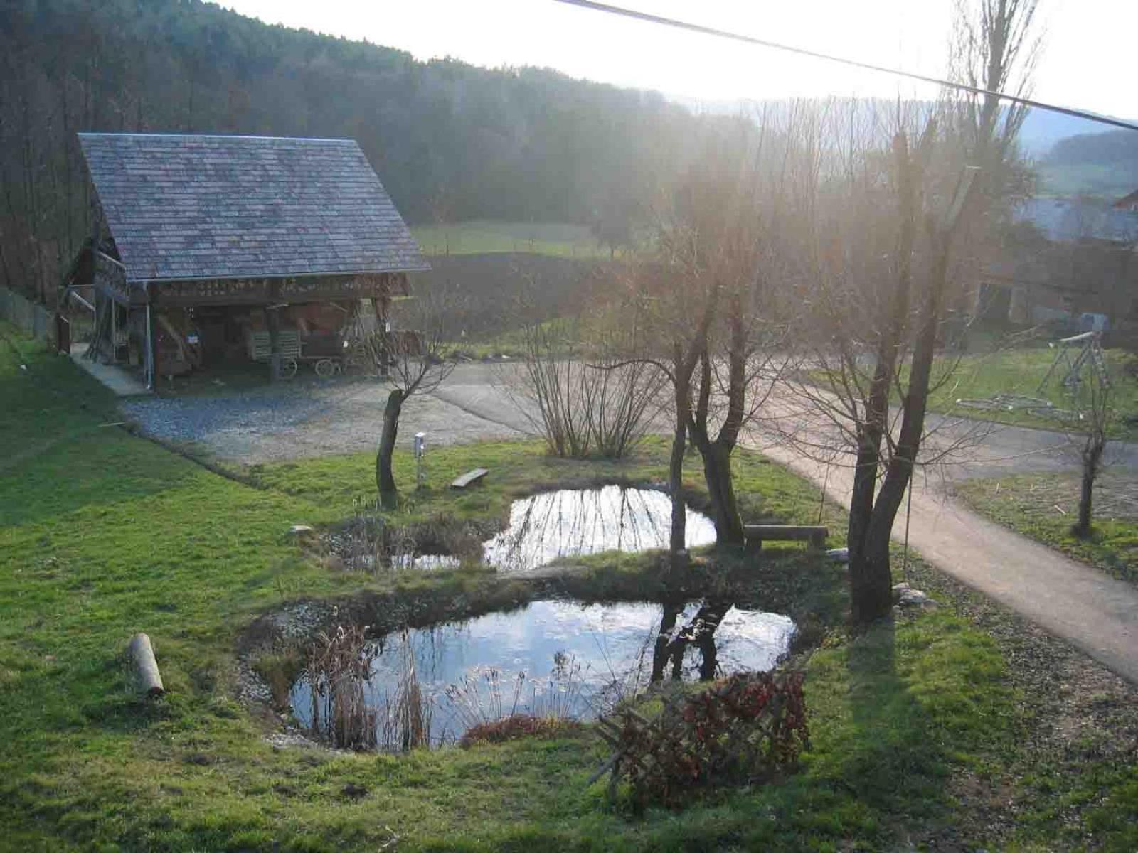 Apartament Turisticna Kmetija Cebelji Gradic Rogašovci Zewnętrze zdjęcie