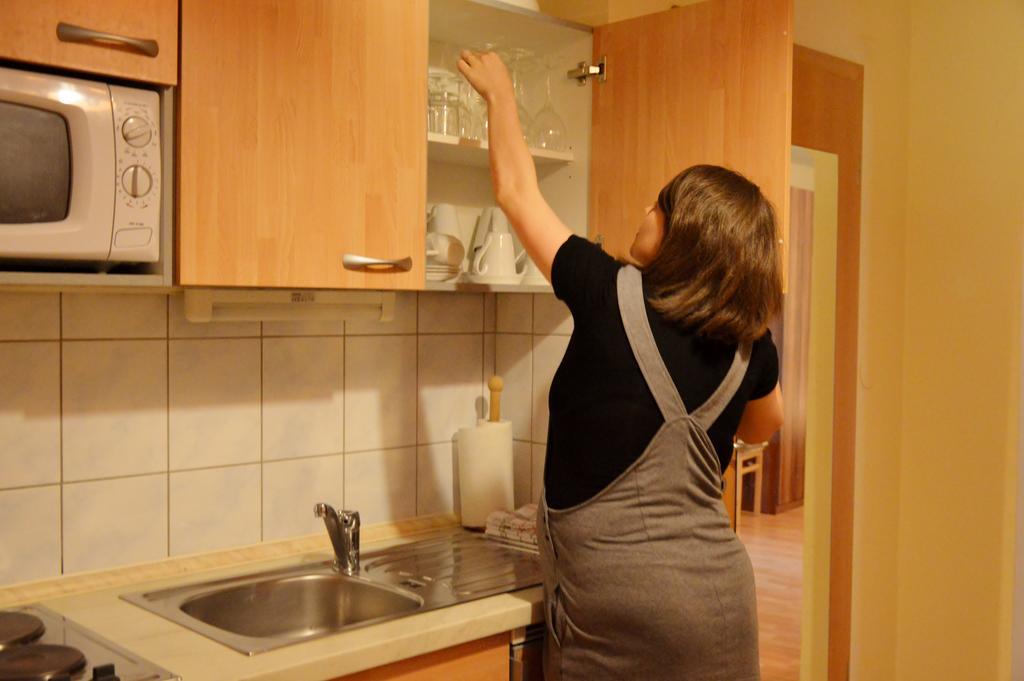 Apartament Turisticna Kmetija Cebelji Gradic Rogašovci Zewnętrze zdjęcie